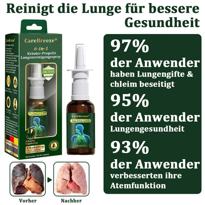 💚🇩🇪 Offizieller Store：CareBreeze® 6-in-1 Kräuter-Propolis Lungenreinigungsspray-Feinzerstäubung(⚡Sofortige Linderung🫁Langzeitwirkungen)