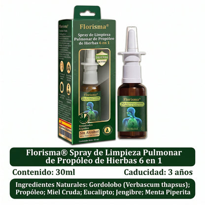 💚💫Tienda oficial：Florisma® Spray de Limpieza Pulmonar de Propóleo de Hierbas 6 en 1(Alivio inmediato, efectos a largo plazo)