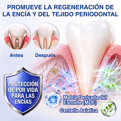 👩‍⚕️𝑮𝒍𝒊𝒎𝒎𝒆𝒓𝒍𝒚® 🦷 𝑮𝒖𝒎𝑹𝒆𝒗𝒊𝒗𝒆 𝑮𝒆𝒍 𝒅𝒆 𝑹𝒆𝒑𝒂𝒓𝒂𝒄𝒊ó𝒏 𝑷𝒂𝒓𝒐𝒅𝒐𝒏𝒕𝒂𝒍 💓