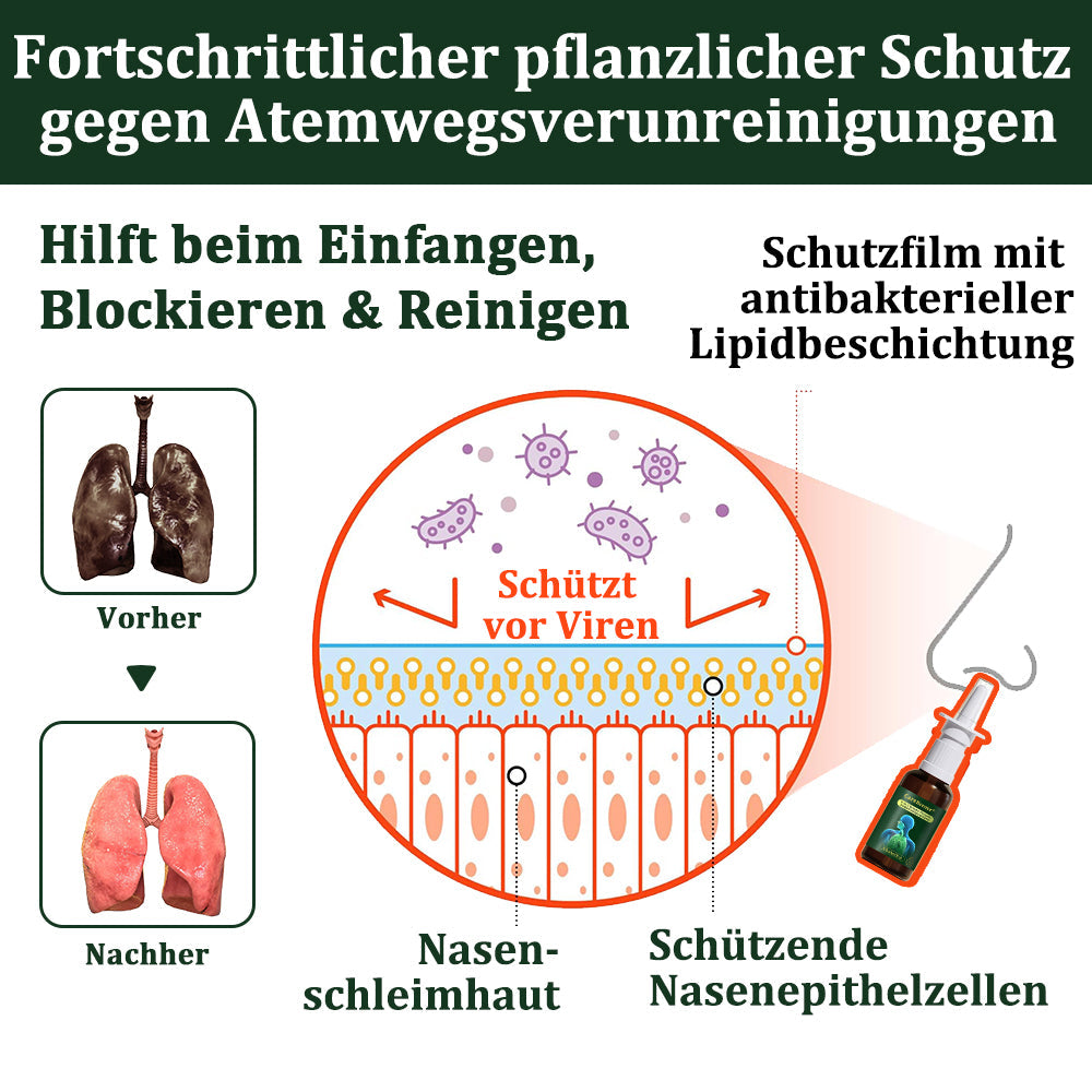 💚🇩🇪 Offizieller Store：CareBreeze® 6-in-1 Kräuter-Propolis Lungenreinigungsspray-Feinzerstäubung(⚡Sofortige Linderung🫁Langzeitwirkungen)