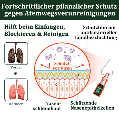 💚🇩🇪 Offizieller Store：CareBreeze® 6-in-1 Kräuter-Propolis Lungenreinigungsspray-Feinzerstäubung(⚡Sofortige Linderung🫁Langzeitwirkungen)