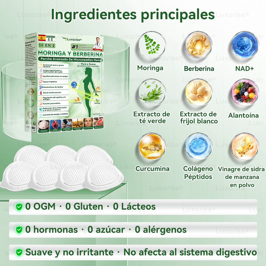 𝑳𝒖𝒙𝒂𝒓𝒊𝒔𝒆® 🍃 Moringa & Berberina 10 en 1 Parche Avanzado de Microagujas Nano 🎉 (Uso diario, cambios visibles en 7 días) Obesidad, Diabetes, Apnea del Sueño y Problemas Articulares