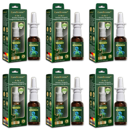💚🇩🇪 Offizieller Store：CareBreeze® 6-in-1 Kräuter-Propolis Lungenreinigungsspray-Feinzerstäubung(⚡Sofortige Linderung🫁Langzeitwirkungen)
