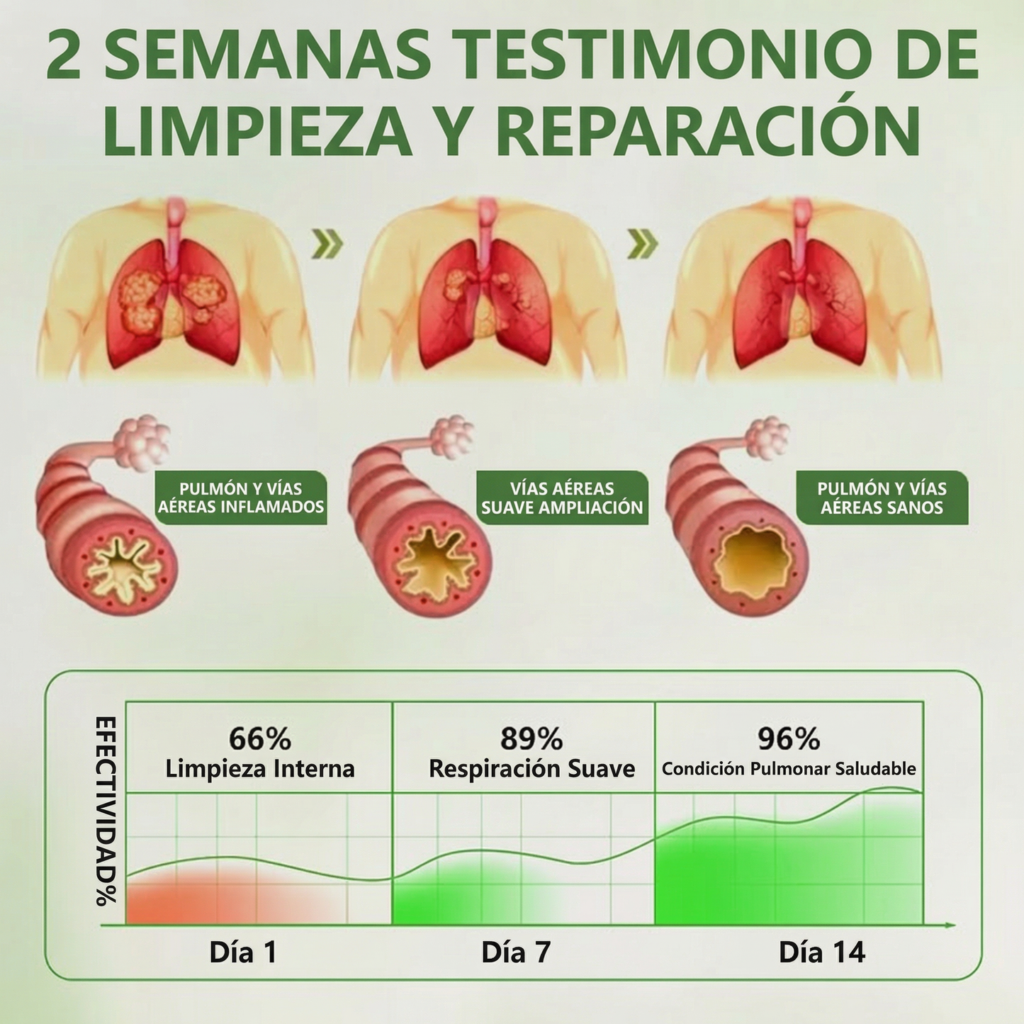 Timilk® 🍃Alivio rápido de la respiración · Apoya la limpieza y la apertura de los pulmones · Alivia la tos.🌱