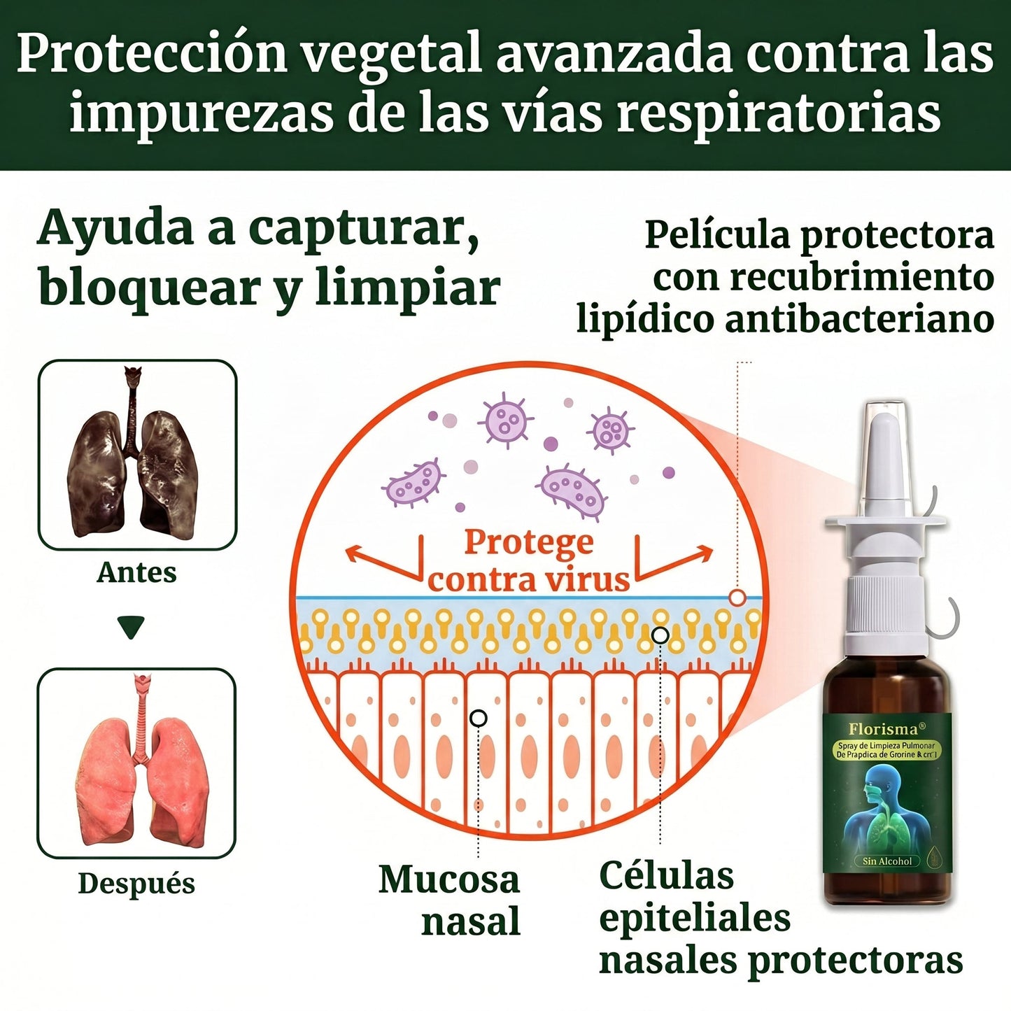💚💫Tienda oficial：Florisma® Spray de Limpieza Pulmonar de Propóleo de Hierbas 6 en 1(Alivio inmediato, efectos a largo plazo)