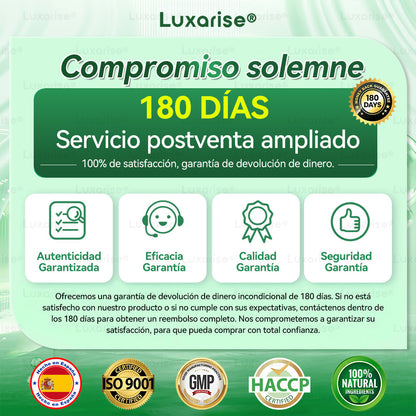 𝑳𝒖𝒙𝒂𝒓𝒊𝒔𝒆® 🍃 Moringa & Berberina 10 en 1 Parche Avanzado de Microagujas Nano 🎉 (Uso diario, cambios visibles en 7 días) Obesidad, Diabetes, Apnea del Sueño y Problemas Articulares