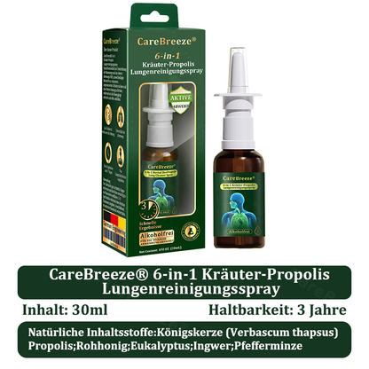 💚🇩🇪 Offizieller Store：CareBreeze® 6-in-1 Kräuter-Propolis Lungenreinigungsspray-Feinzerstäubung(⚡Sofortige Linderung🫁Langzeitwirkungen)